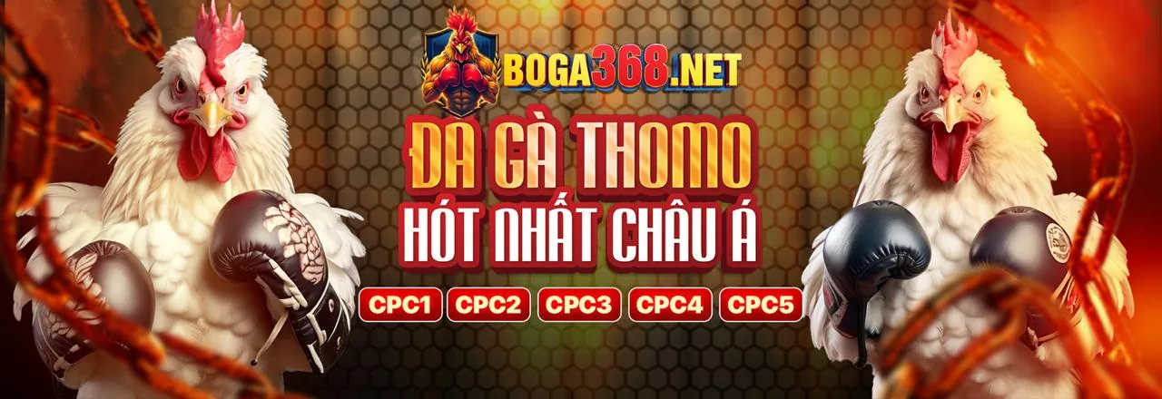 Sân chơi casino trực tuyến ibet888 với các trò chơi đa dạng