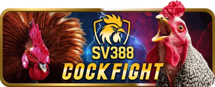 Cá cược tennis tại ibet888 với sân tennis và vợt.